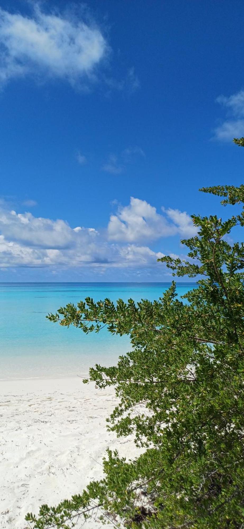 Nikabliss Dhigurah Bed & Breakfast Dhigurah  Exterior photo
